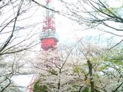 Happy̎Ōyё㎛̍̓eʐ^1