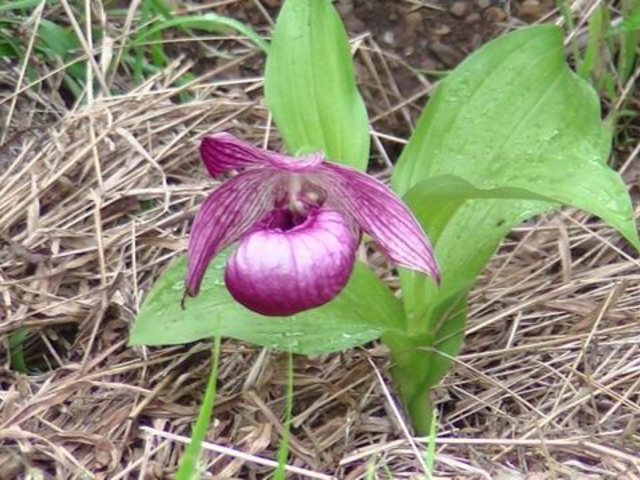 J}iVzeCAc\E_xmpm}][g