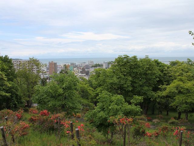 ���ԏ�����̓W�]_���M����