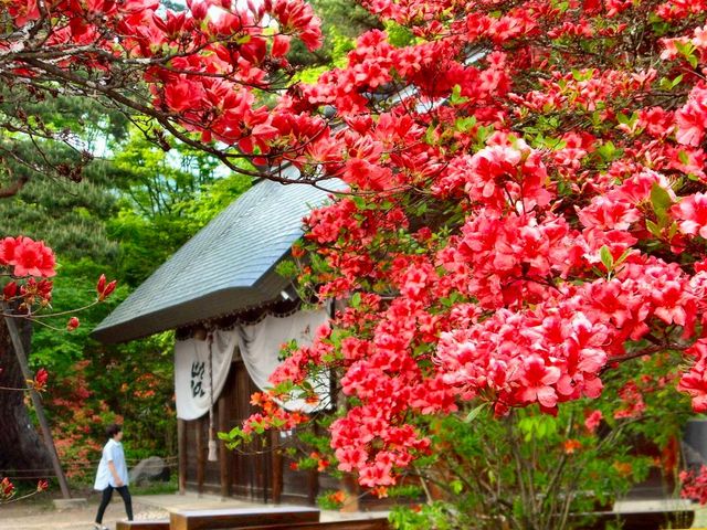 ̂̌䉮~(^cِ)̃}ccW̓eʐ^1