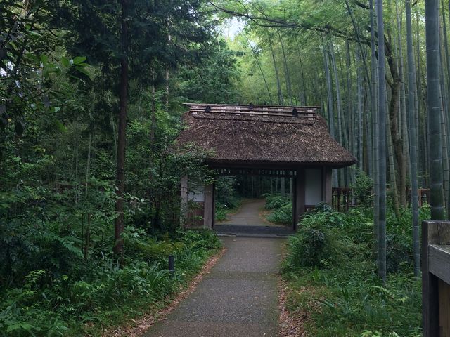 񂿂񂳂̂ƂH[JtF̓eʐ^3