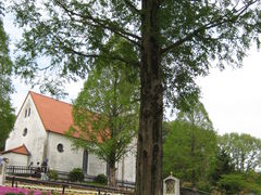 ܂̖Oكg[hւ̓eʐ^1