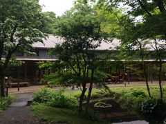 񂿂񂳂̂ƂH[JtFւ̓eʐ^1