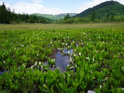 �J���`��������̔����̐��m�Ԃ̓��e�ʐ^1