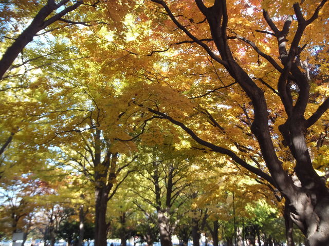 �k��C�`���E����_�k��C�`���E����