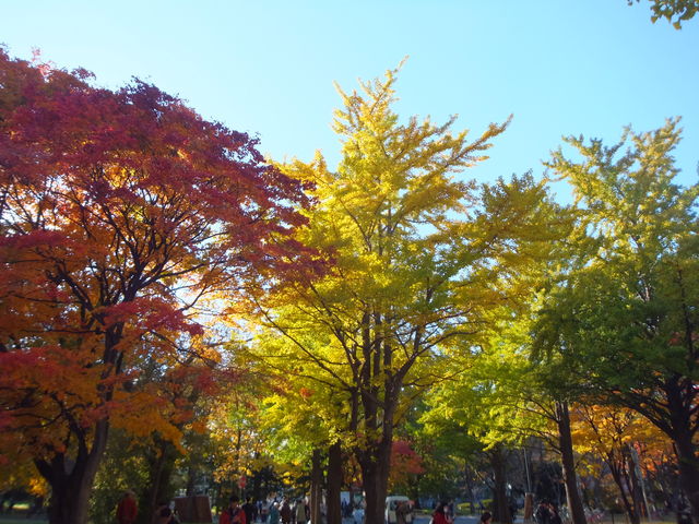 �l�X�ȍg�t_�k��C�`���E����