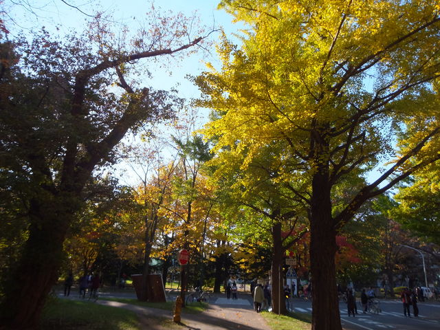 �C�`���E���ؕ���_�k��C�`���E����