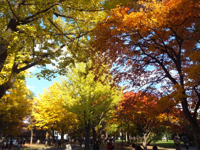 �C�`���E����_�k��C�`���E����