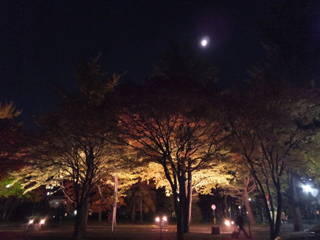 �C�`���E���؂ƌ�_�k��C�`���E����