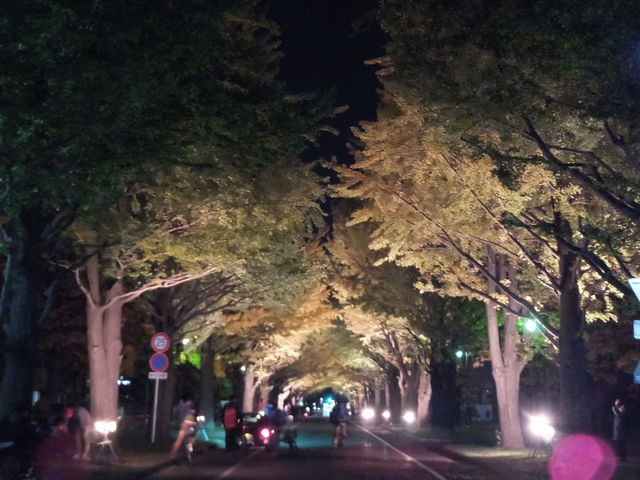 ��̃C�`���E����_�k��C�`���E����