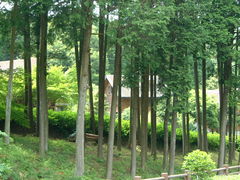 花ちゃんさんの大野城いこいの森キャンプ場の投稿写真4