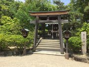 Sakamoto119̗_c{̓eʐ^14