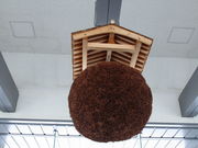 ����҂�����̓Ɨ��s���@�l��ޑ����������̓��e�ʐ^4