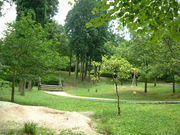 Ԃ񂳂̑邢̐XLv̓eʐ^2