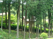 Ԃ񂳂̑邢̐XLv̓eʐ^4