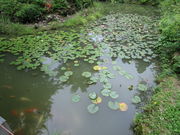 ����҂�����̕������̓��e�ʐ^2