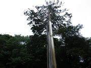 ����҂�����̕������̓��e�ʐ^3