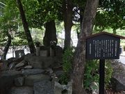 L̉ԌÐ`n(wjՁj̓eʐ^3