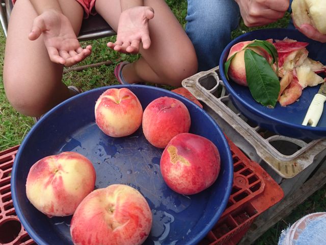 4�l��20�H�ׂ��Ⴂ�܂���_�����_��