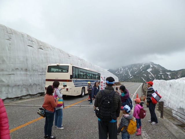 Snow wall_��̑�J