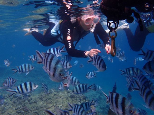 ������������Ƃ��F�B�ɂȂ�܂����I_���ꃊ�]�[�g��y��