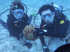 �S���F����̉���A�C�����h�N���[�ւ̓��e�ʐ^1