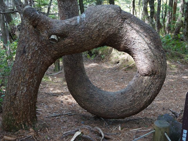 �������Ȗ�_�����r