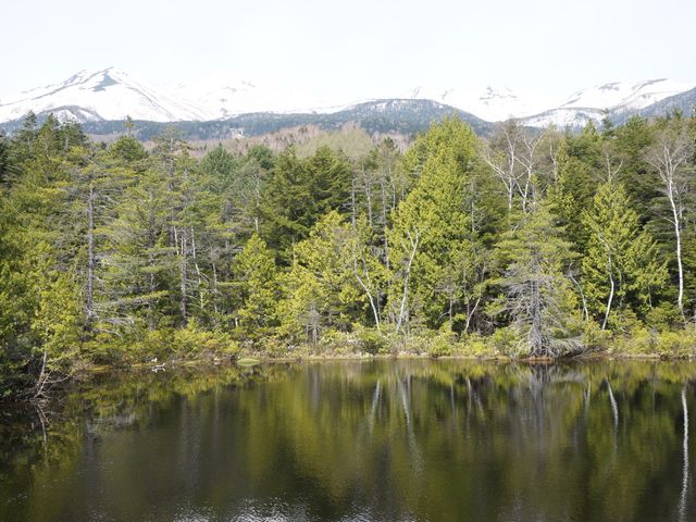 �����r_�����r