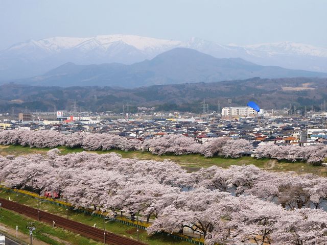 �W�]�䂩��̒��]_�D���隬����