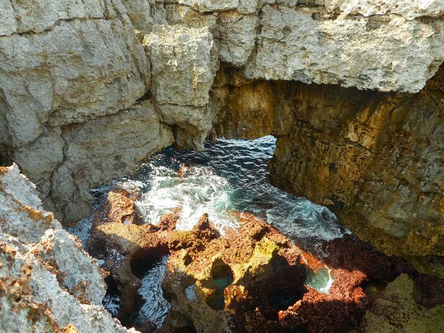 �t�[�`��_�t�[�`��