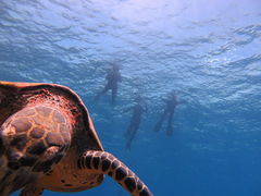 c̃V[}bNX_CrONuւ̓eʐ^1