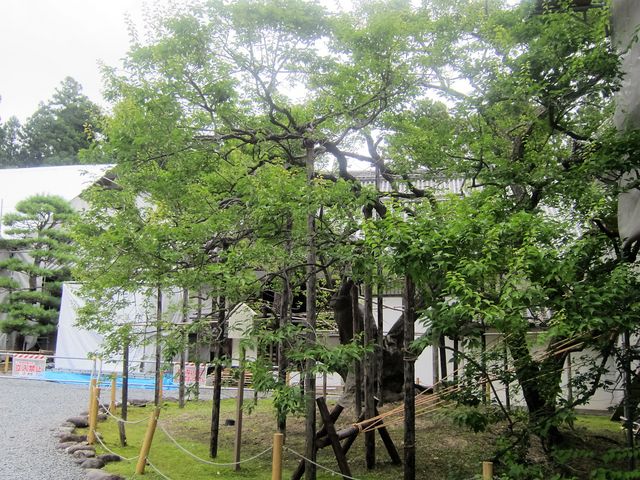 �痴�~�i�g�~�j_���ގ��̉痴�~