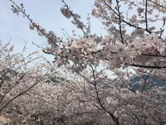 立山公園 アクセス 営業時間 料金情報 じゃらんnet