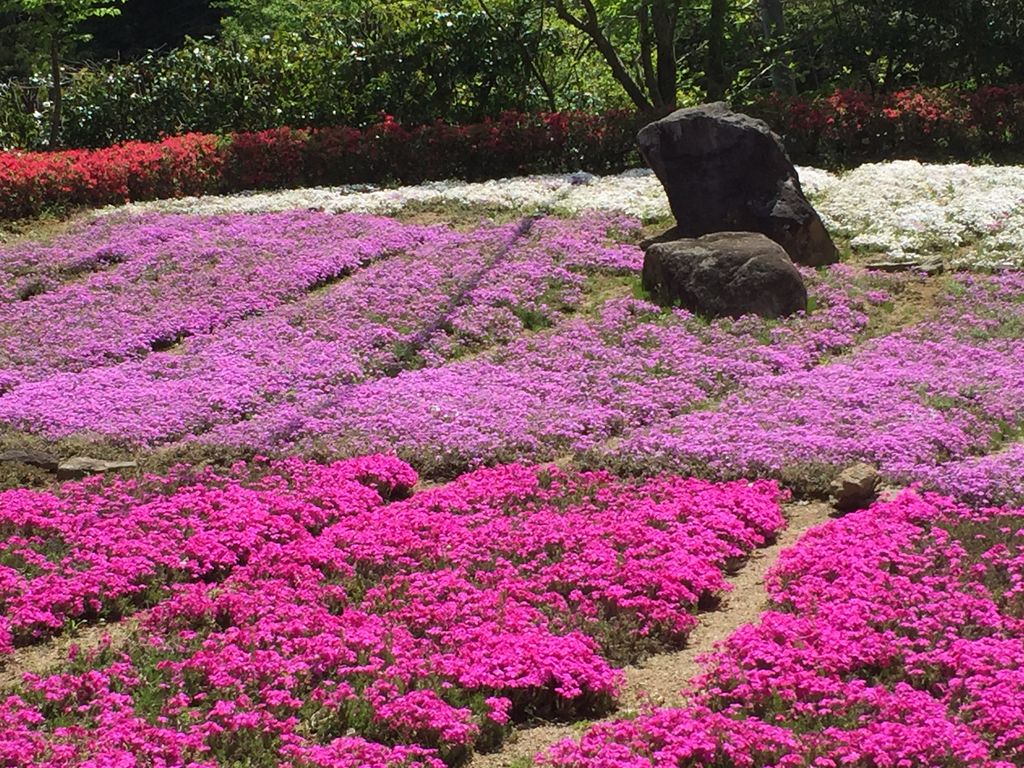 榛原駅周辺の農業体験ランキングtop8 じゃらんnet 榛原駅周辺の農業体験ランキングtop8 じゃらんnet