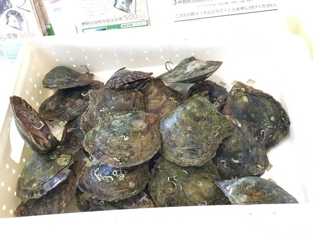 ��R�̊L����I�т܂���(*^_^*)_�^��삾���̌��@�a��{�^����X