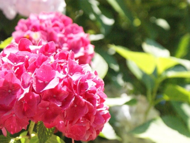 ��������_��D��