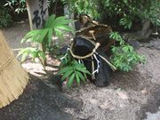 Sakamoto119̖xz_Ђ̓eʐ^35