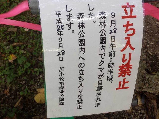 �N�}�ɂ͒���_�΃��u����