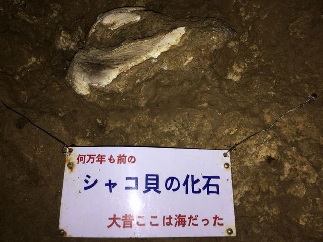 �ߓ����ꕔ_�Ί_���ߓ���