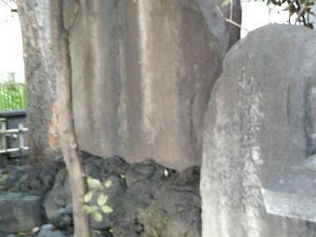 �Δ肪�Â���������������̂ł킩��Â炢�ł��B_�g�c���A�I���V�n