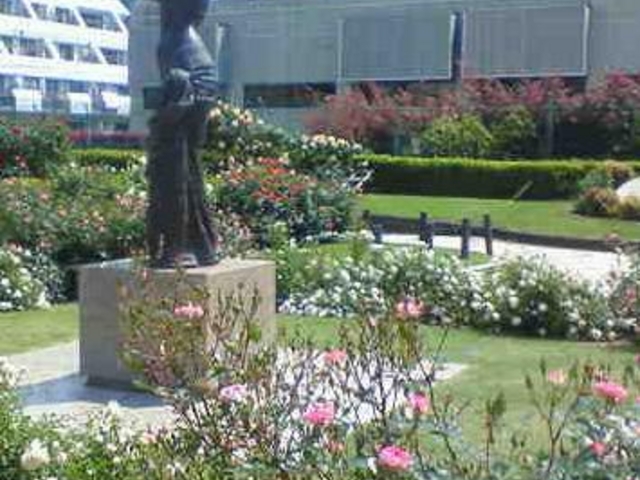 �o���̒��ɂ̓J��������x���Ă��铺��������܂��B_�{�������������̂΂�