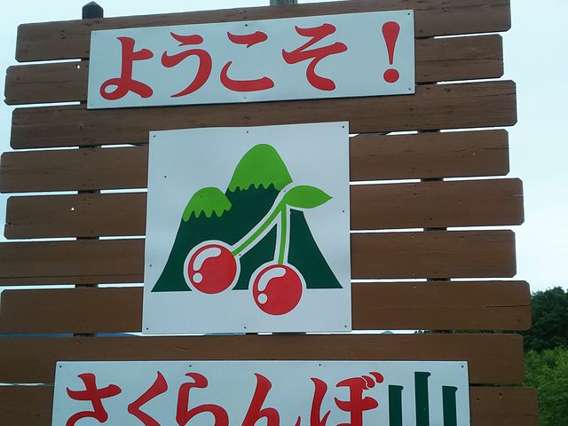 さくらんぼ山観光農園】アクセス・営業時間・料金情報 - じゃらんnet