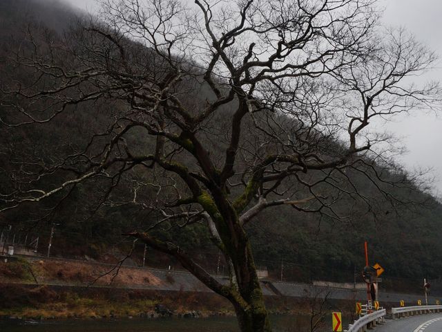 ���Ԃ�̉|�@3���ɍs�������̂ł��B_������