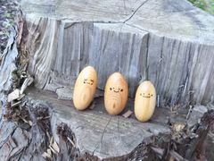 ͂̎OXJCEH[Nւ̓eʐ^3