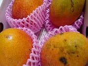 ݂JAȂH؊ ؁XF̓eʐ^1