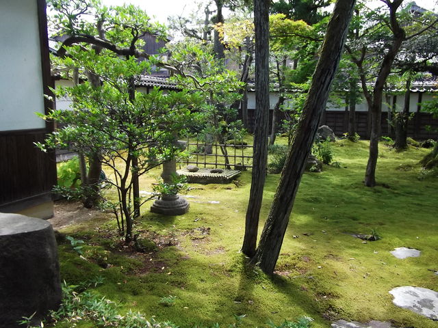 �ᏼ�Ɂi���񂵂傤����j�̒뉀
_�����@��t�{��