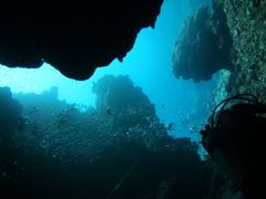 mutsu̐Ί_cA[KChI[u[ւ̓eʐ^1