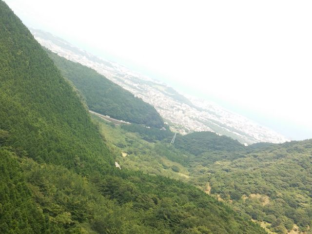 [vEFC猩ʕ{s_ʕ{[vEFC