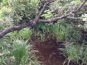 Sakamoto119̐̕X̓eʐ^3