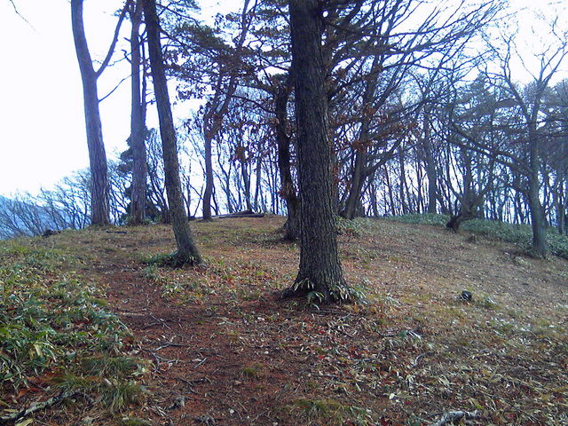 �R���B�n�������̊F���񂪂��ꂢ�ɐ������Ă��������Ă܂��B���ӂł�_��䑾�Y�R